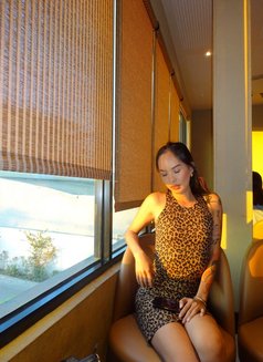 Samara Fucker - Transsexual escort in Manila Photo 4 of 5