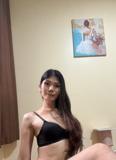 Samcy - Transsexual escort in Manila Photo 5 of 5