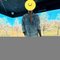 Sameer - Male escort in Pune Photo 3 of 6