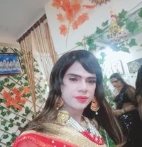 Sameera Singh - Acompañantes transexual in New Delhi