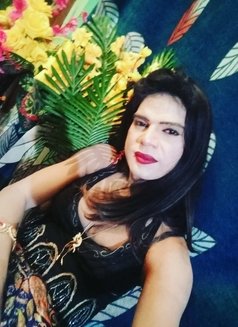 Sameera Singh - Transsexual escort in New Delhi Photo 15 of 18