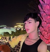 Samoy - Transsexual escort in Riyadh
