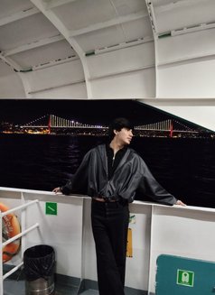 Samir - Male escort in İstanbul Photo 3 of 6