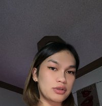 Samira - Acompañantes transexual in Riyadh