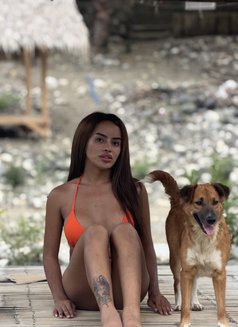 Samira Sarafin Fox - Acompañantes transexual in Makati City Photo 8 of 14