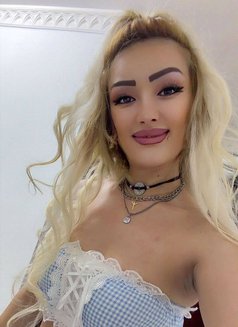 Samira - escort in Muscat Photo 11 of 13