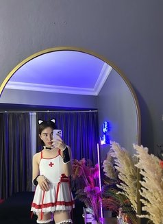 Samirtwink 19 cm - Transsexual escort in İstanbul Photo 13 of 23