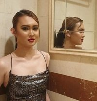 Sammy - Transsexual escort in Macao