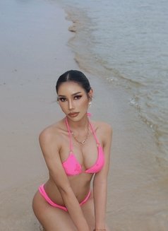 Sammy from Phuket 🇹🇭 - Transsexual escort in Taipei Photo 9 of 25