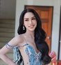 Renee both from Phuket - Transsexual escort in Al Manama Photo 9 of 22