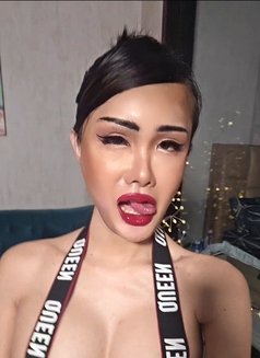 Sammy From Thailand 🇹🇭 - Acompañantes transexual in Al Manama Photo 5 of 7