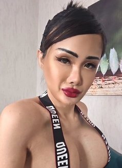 Sammy From Thailand 🇹🇭 - Acompañantes transexual in Al Manama Photo 6 of 7