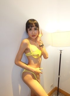 Ladybo from Nana,Sukhumvit11,Bangkok🇹🇭 - Transsexual escort in Khobar Photo 4 of 10