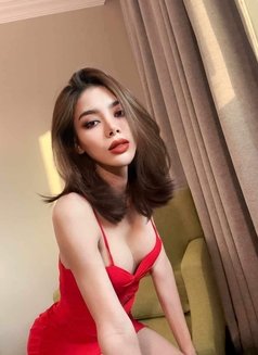 Sammy From Thailand 🇹🇭 - Transsexual escort in Al Manama Photo 1 of 14