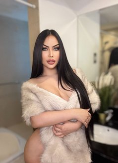 Asia Hot Experiences Services - Transsexual escort in Dubai Photo 6 of 18