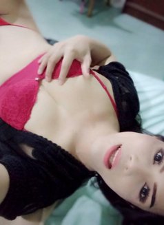 Sammy - Acompañantes transexual in Krabi Photo 2 of 5