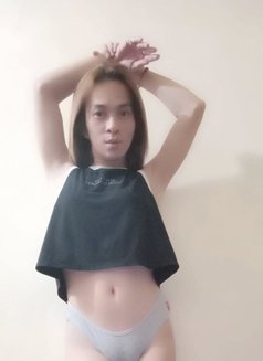 Samphie ladyboy bottom - Transsexual escort in Manila Photo 2 of 4