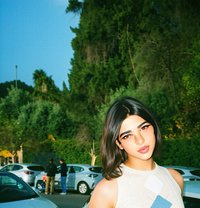 Samy🩷 - Transsexual escort in Riyadh