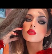 سان فور - Transsexual escort in Cairo