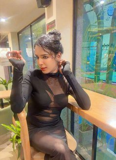 SHEMALE HARD DICK CHENNAI - Transsexual escort in Chennai Photo 29 of 29
