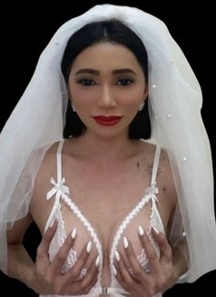 Sanaya ladyboy 23🇵🇭 - Transsexual escort in Dubai Photo 20 of 24