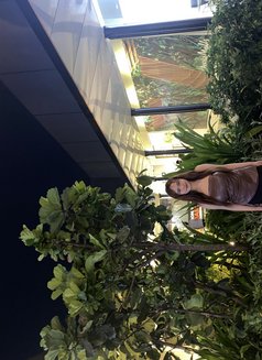 Sandara - escort in Makati City Photo 2 of 10