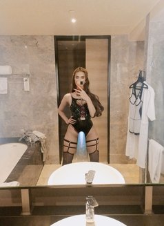 Sanderland Kendra - Transsexual escort in Manila Photo 21 of 21