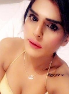 Sandhya Bigcock - Acompañantes transexual in New Delhi Photo 13 of 21