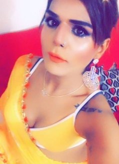 Sandhya Bigcock - Acompañantes transexual in New Delhi Photo 14 of 21