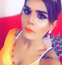 Sandhya Classy Bigcock - Transsexual escort in New Delhi