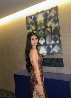 Sandra baby - companion in Seoul Photo 15 of 24