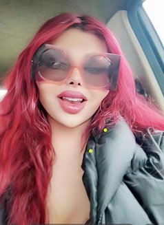 Sandraa - Transsexual escort in Beirut Photo 25 of 26