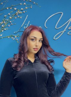 Sandrin - escort in Beirut Photo 1 of 5