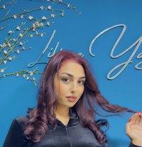 Sandrin - escort in Beirut