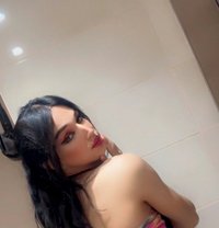 Sandy Arabic Lady Boy - Transsexual escort in Paris
