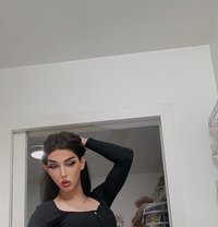 Sandy Arabic Lady Boy - Transsexual escort in Paris