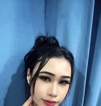 Sandy Ladyboy - Transsexual escort in Dubai