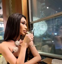 Sandy Ladyboy - Transsexual escort in Dubai