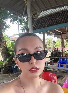 Sandy - Transsexual escort in Vientiane Photo 3 of 4