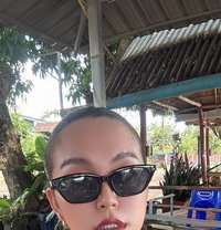 Sandy - Acompañantes transexual in Vientiane