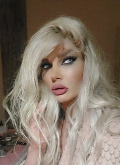 Sandy - Transsexual escort in Beirut Photo 18 of 19