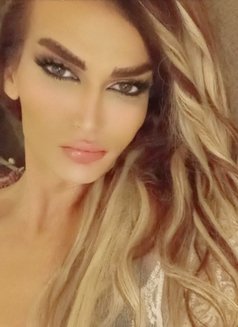 Sandy - Transsexual escort in Beirut Photo 19 of 19