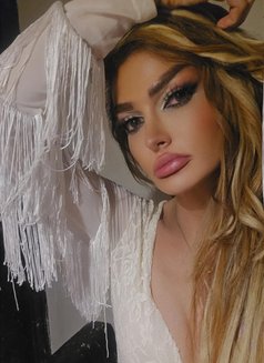 Sandy - Transsexual escort in Beirut Photo 13 of 14