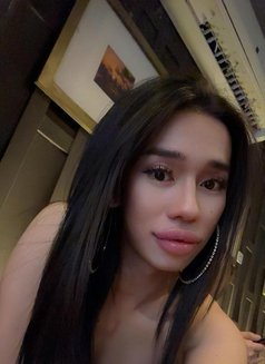 SANDY New in Bahrain - Transsexual escort in Al Manama Photo 2 of 6