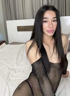 SANDY New in Bahrain - Transsexual escort in Al Manama Photo 27 of 30