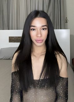 SANDY New in Bahrain - Transsexual escort in Al Manama Photo 28 of 30