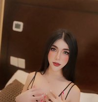 Sani ladyboy - masseuse in Dubai