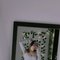 Saniya Independent - escort in Candolim, Goa Photo 4 of 6