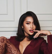 Santal - Transsexual escort in Manila