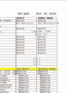 Santy Misawa Dec 17-19 - escort in Misawa Photo 10 of 10